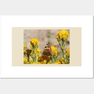 Butterfly, wildlife, insects, nature, gifts, Natures Grace Posters and Art